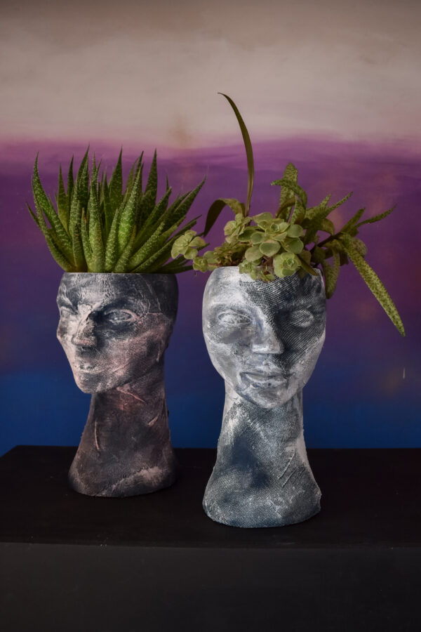 macetero compañia vegetal