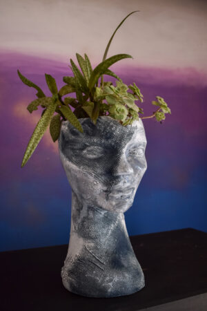 macetero compañia vegetal