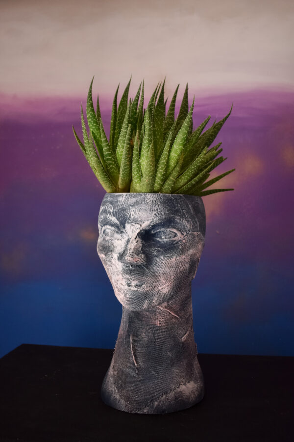macetero compañia vegetal